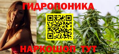 тгк Можга