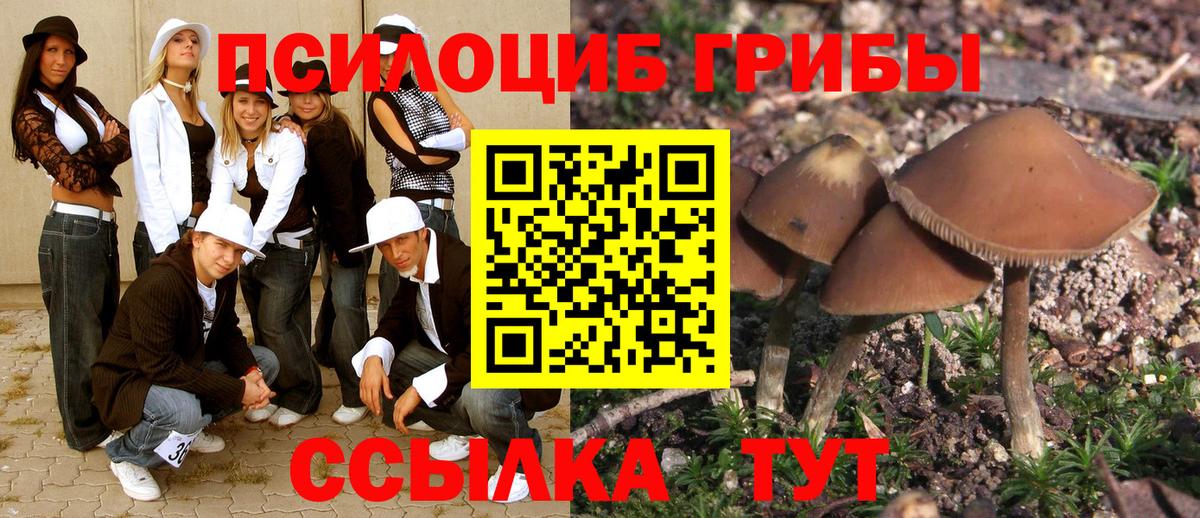 Псилоцибиновые грибы прущие грибы Норильск