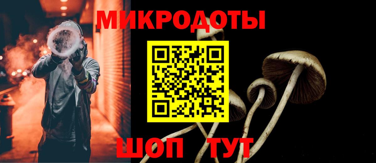 купить  сайты  Вход с VPN  Норильск  Псилоцибиновые грибы мухоморы  Галлюциногенные грибы GOLDEN TEACHER 