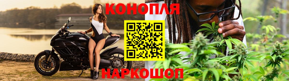 Каннабис тримм  Шишки марихуана планчик  Конопля план  Вход с VPN  Норильск 