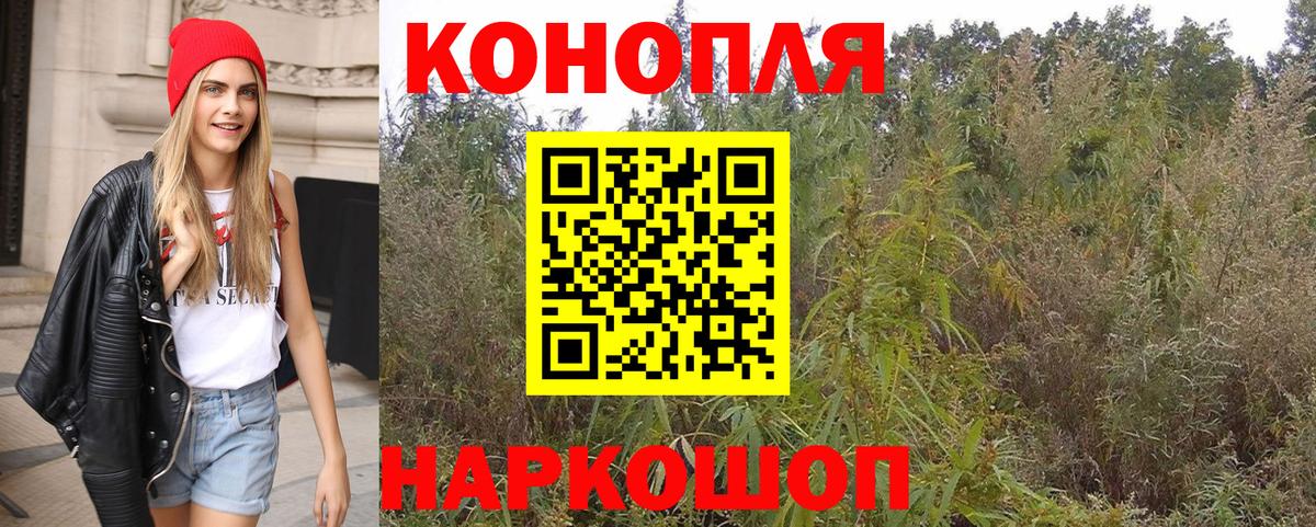 A PVP Норильск